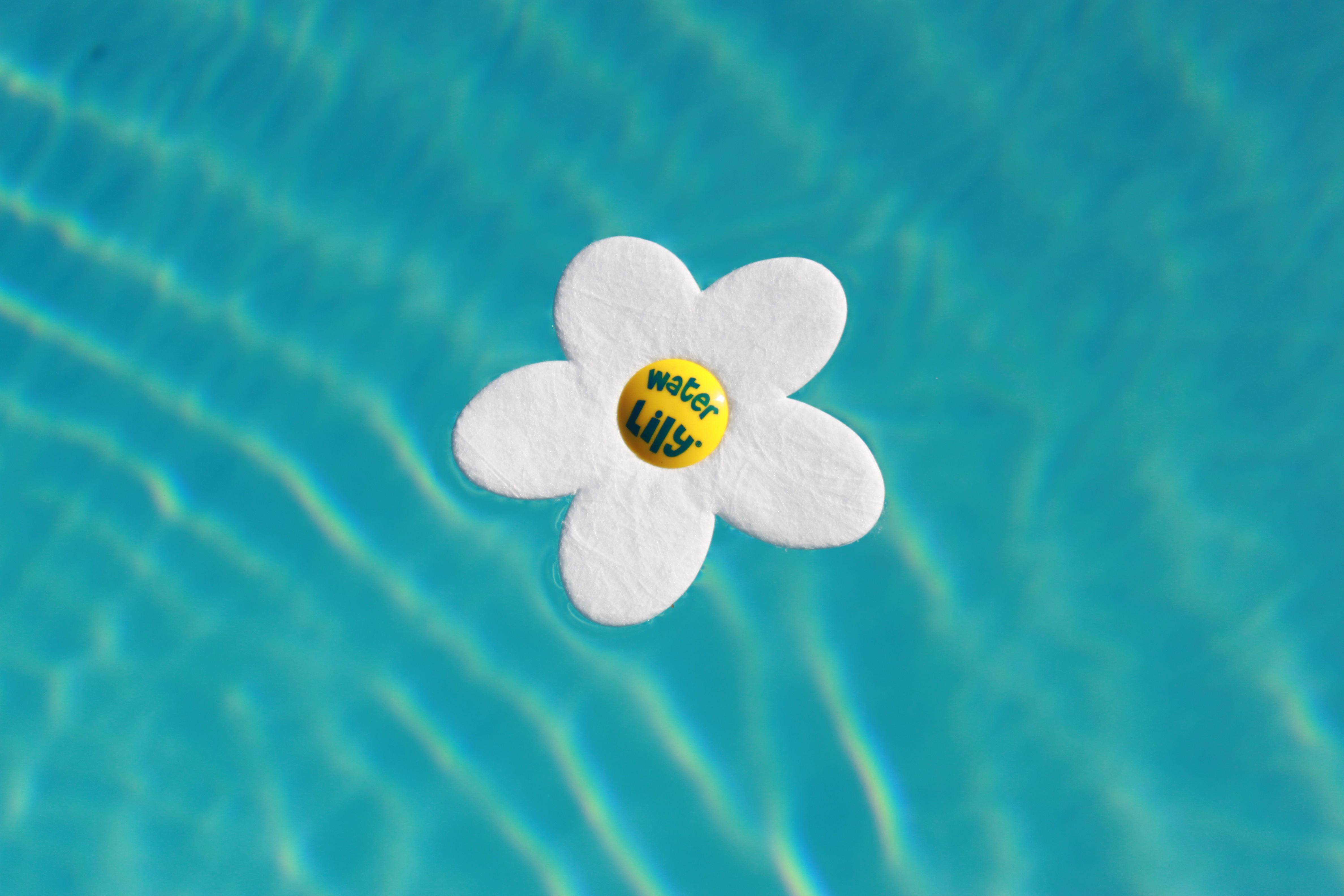 Absorpční houbička na mastnoty Water Lily (1 balení = 6ks)